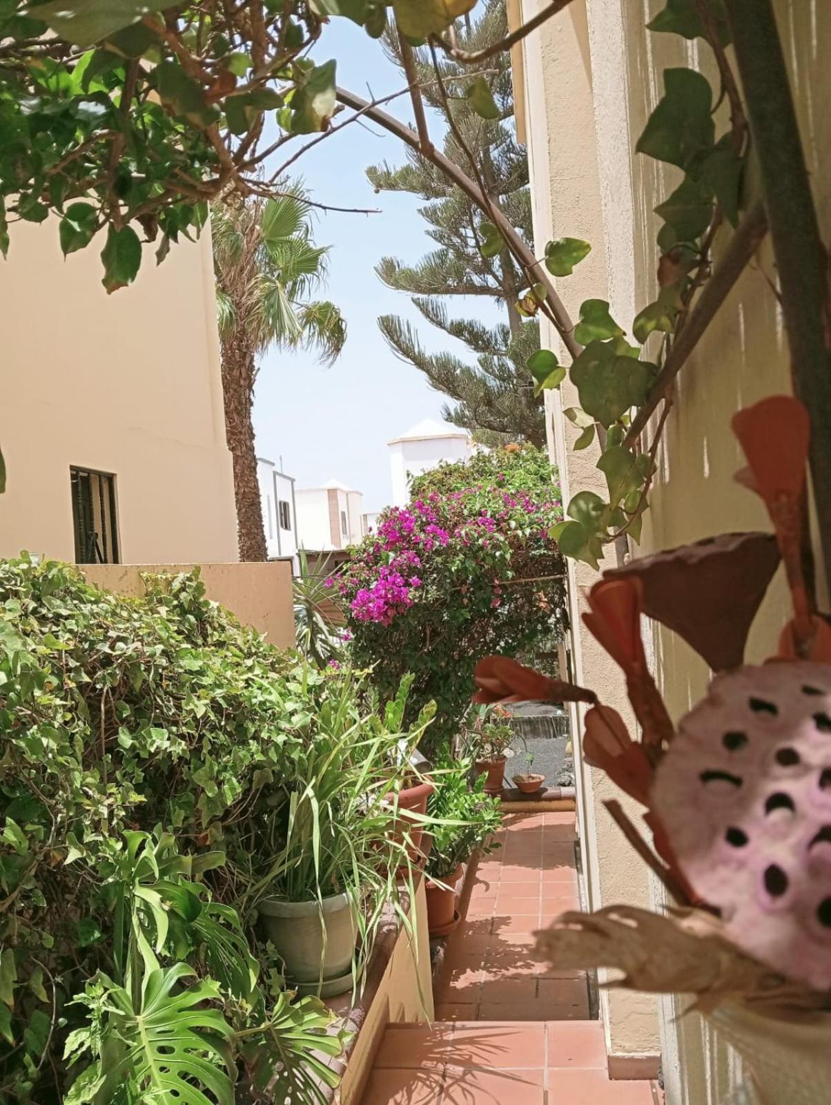 Appartement Casa Noray 18 à Playa Honda  Extérieur photo
